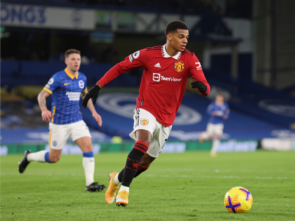 姆巴佩的职 姆巴佩的职